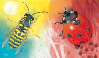 Klein insectenboek Illustratie